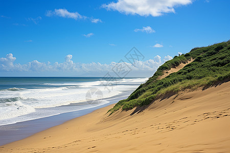 夏季海岸线的美丽景观图片