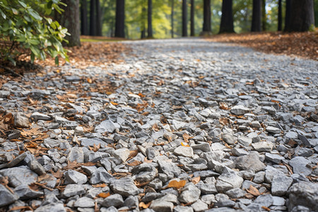 秋日森林中的落叶石路背景图片
