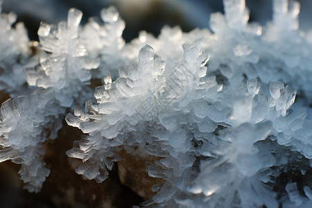 户外雪花霜冻冰晶图片