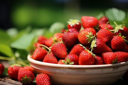草坪上的草莓水果背景图片