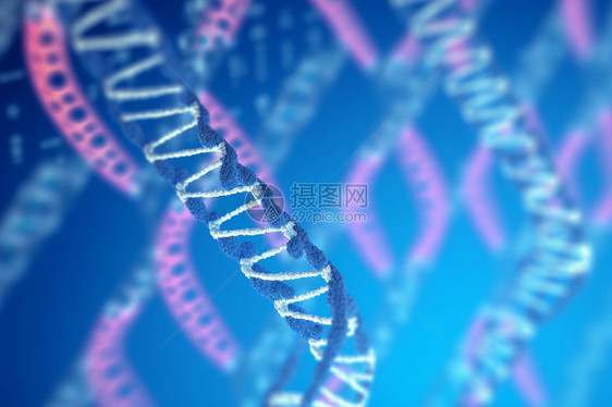 生物学研究的克隆基因图片