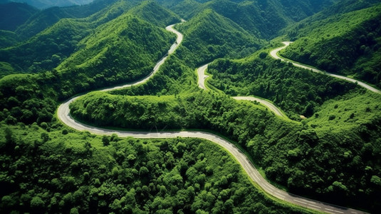 山道路森林中的道路背景