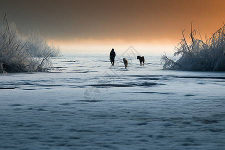 冬季湖面上的男子和狗狗图片