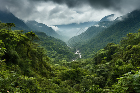 手绘山翠绿山谷的美丽景观背景