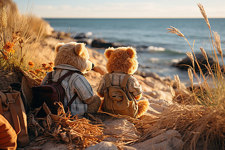 两只玩具泰迪熊在海边看日落图片