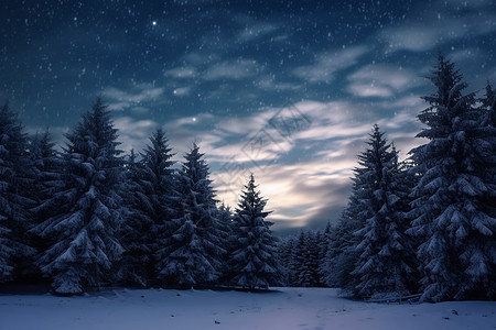 冬天雪后夜景图片