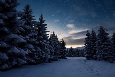 冬夜林间飘雪背景图片