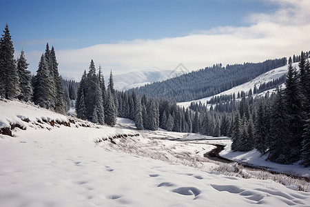 冬天山里的雪景背景图片