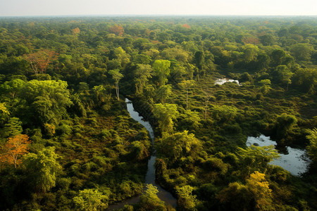 绿树成荫的热带景色背景图片
