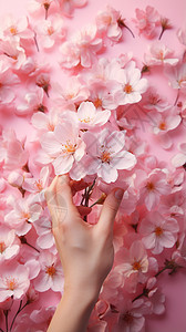 粉红色的花瓣背景图片