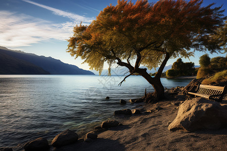 湖边人坐柳树下图片
