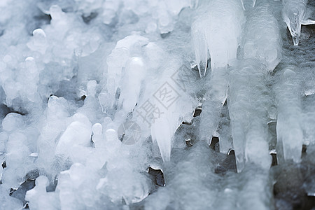 冰雪在树上冻结成冰背景图片