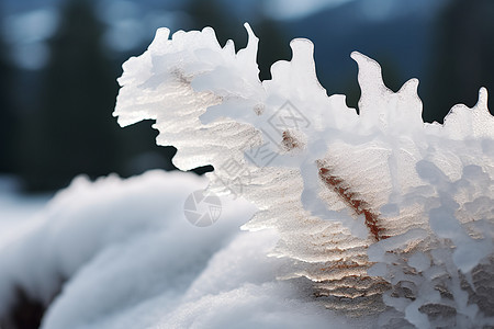 冬日中的冰雪奇观图片