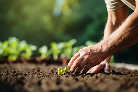 户外种植庄稼的农民图片