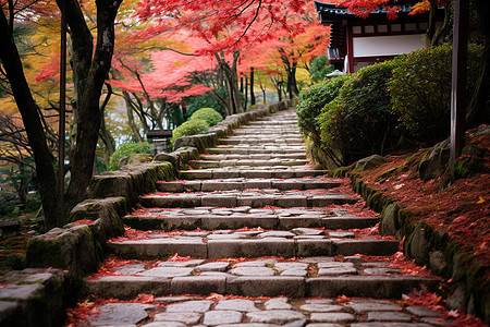 红叶铺满的公园台阶图片