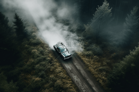 汽车驶过雾蒙蒙的森林图片
