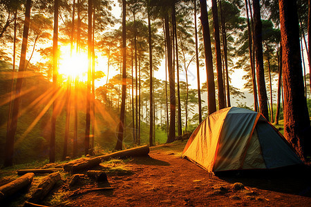 阳光照耀的帐篷图片