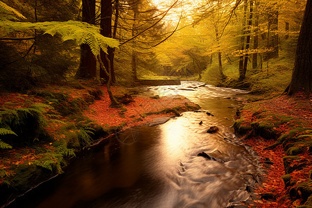山间树林秋季的山间河流景观背景