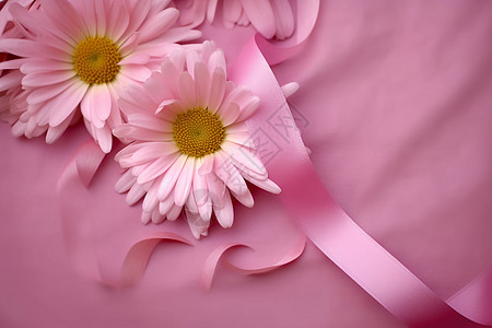 粉色背景上的花朵图片