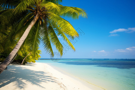 夏季热带岛屿的美丽景观图片