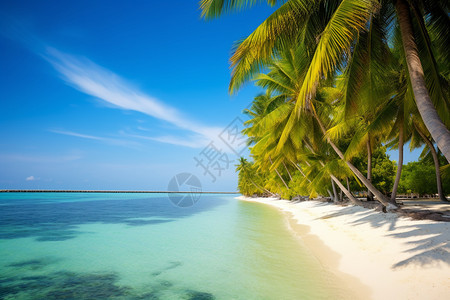 旅游度假的热带岛屿景观图片
