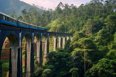 热带丛林中的火车运输轨道背景图片