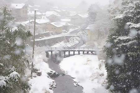 冬日乡村的雪景高清图片