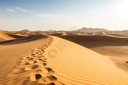 孤独沙漠之旅图片