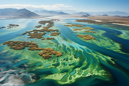 海湾地区风光图片