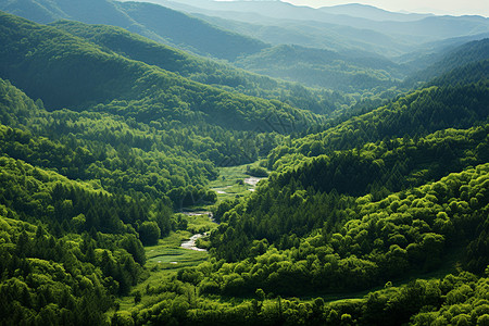 绿野山川图片