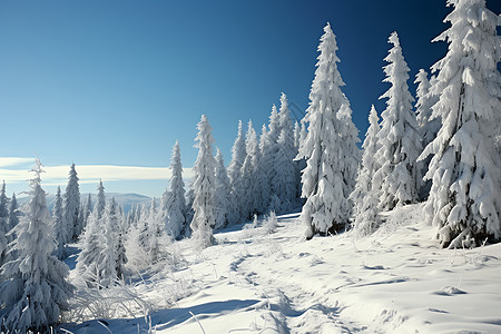 雪山苍翠图片