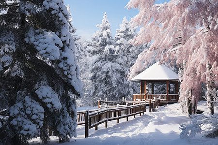 冬日乡村的雪景小屋图片