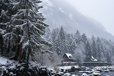 雪中的乡村景色图片