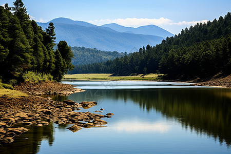 夏季森林湖泊的美丽景观背景图片