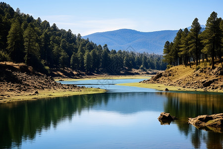 山脉中的森林湖泊景观背景图片