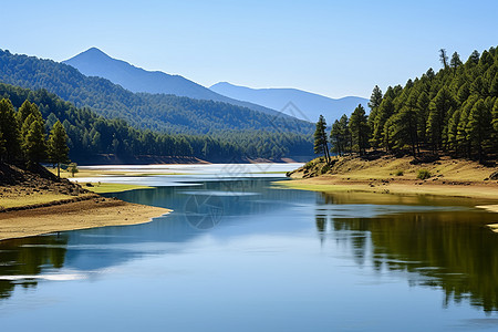 青山绿树湖光山色的美丽景观背景图片