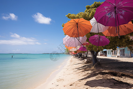 海滩上的雨伞装饰图片