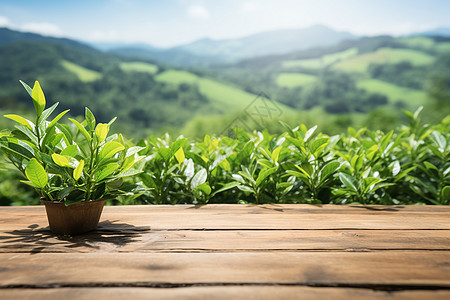 秋山绿茵的木桌背景图片