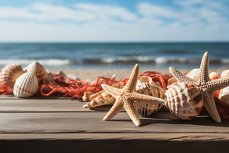 悠闲夏日海滩上的海洋生物图片