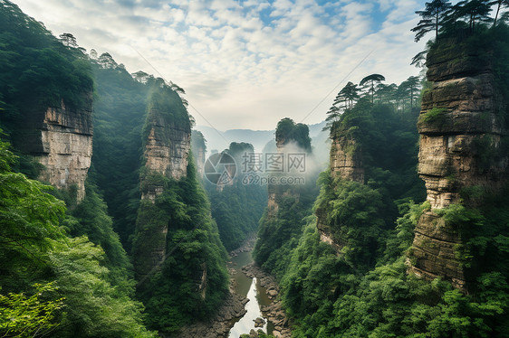 夏季郁郁葱葱的奇峰景观图片