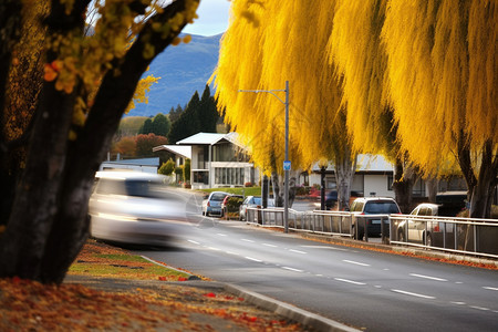 秋季美丽的城市街道图片