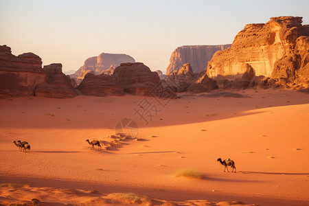 夕阳下荒无的沙漠景观图片