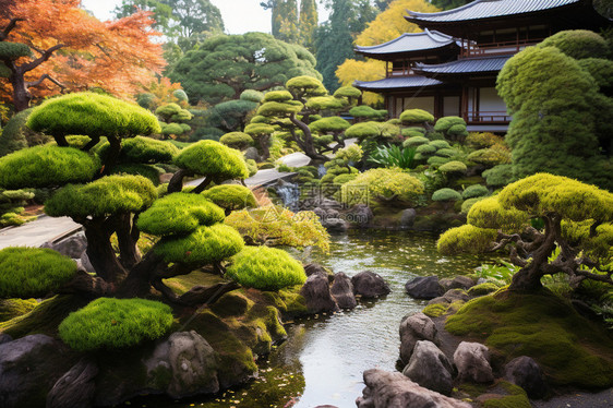 日式园林绿化庭院景观图片