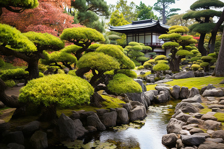 美丽的日式园林景观图片