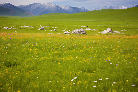 夏季旅游的喀拉峻大草原景观图片