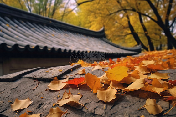 秋天枫叶落在屋顶屋檐上图片