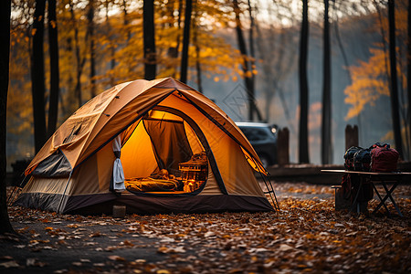 森林帐篷秋天的森林露营照片背景