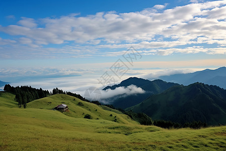 夏季日出云海的美丽景观图片