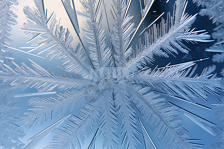 雾凇霜冻的雪花图案背景