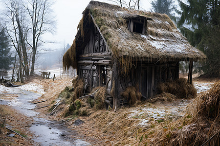 积雪覆盖的乡村小屋图片